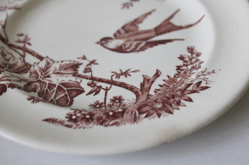 photo of Victorian aesthetic antique brown transferware plate, birds flying tree branches, beehive mark #2