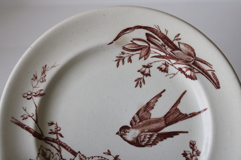 photo of Victorian aesthetic antique brown transferware plate, birds flying tree branches, beehive mark #3