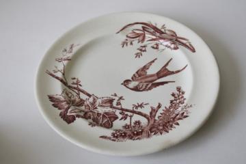 Victorian aesthetic antique brown transferware plate, birds flying tree branches, beehive mark 