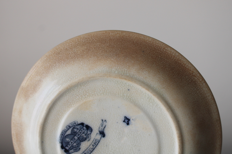 photo of Victorian antique tea cups & saucers Brownfield Woodlands blue birds transferware ironstone china  #3