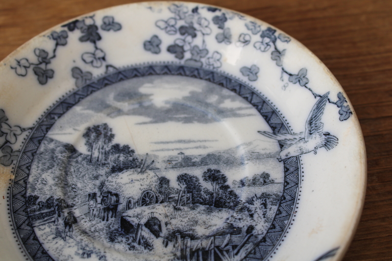photo of Victorian antique tea cups & saucers Brownfield Woodlands blue birds transferware ironstone china  #11