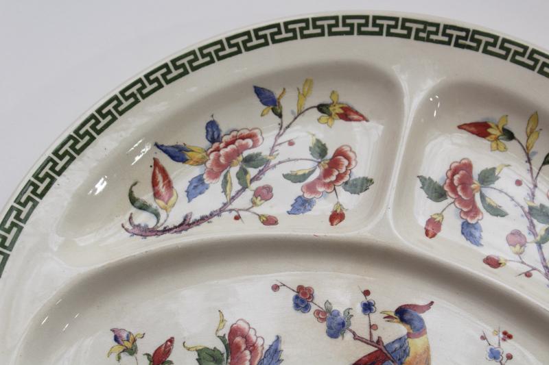 photo of Villeroy & Boch Rouen china grill plate, India tree of life flowers peacock birds  #3