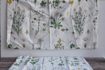 catalog photo of Wake in Cloud cotton pillowcases, botanical illustrations print flowers