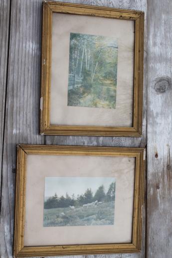 photo of Wallace Nutting vintage photo prints in antique gold wood picture frames #1