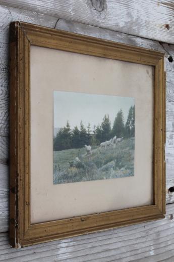 photo of Wallace Nutting vintage photo prints in antique gold wood picture frames #3