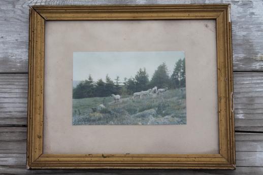 photo of Wallace Nutting vintage photo prints in antique gold wood picture frames #12