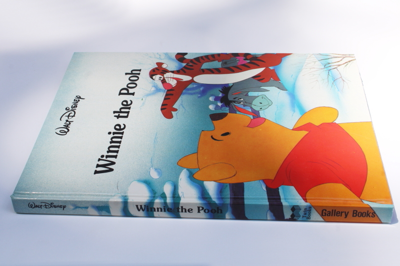 photo of Walt Disney Winnie the Pooh large picture book Gallery Books  #1