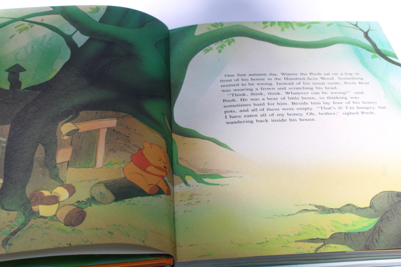 photo of Walt Disney Winnie the Pooh large picture book Gallery Books  #4