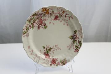 catalog photo of Washington pattern antique transferware, Booths china plate w/ pink multicolor floral