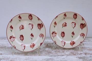 catalog photo of Waverly Garden Lane salad plates large pink tulips floral chintz pattern 