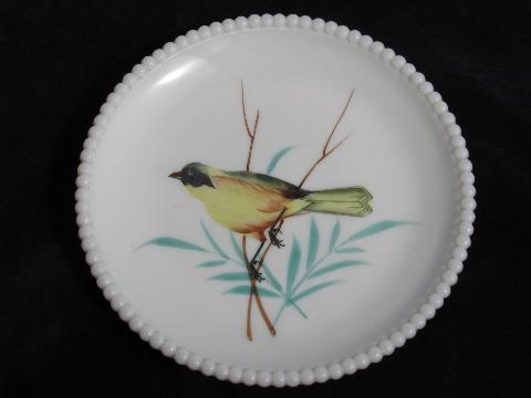 photo of Westmoreland hand-painted plates, bird and pansies, beaded edge milk glass #3