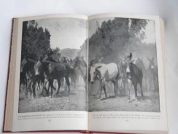 catalog photo of Wild Life the World Over, vintage natural history book, lots of photos