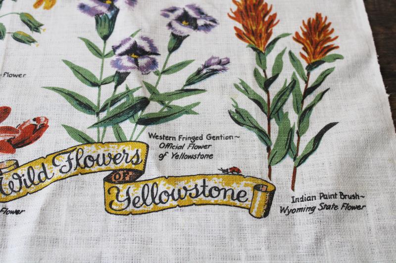 photo of Wild flowers of Yellowstone western botanical print vintage linen tea towel  #2