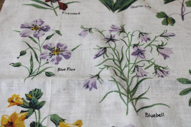 photo of Wild flowers of Yellowstone western botanical print vintage linen tea towel  #4