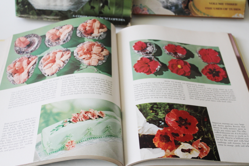 photo of Wilton Way of Cake Decorating 70s vintage complete course three volume set #14