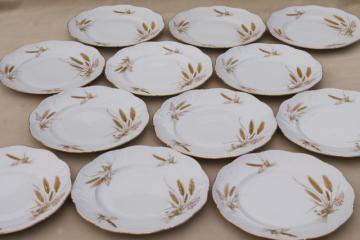 catalog photo of Winterling Bavaria autumn harvest wheat pattern china salad plates, mid-century vintage