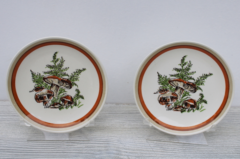 photo of Woodland Magic mushrooms & ferns pattern ceramic plates, 70s vintage USA Royal china #1