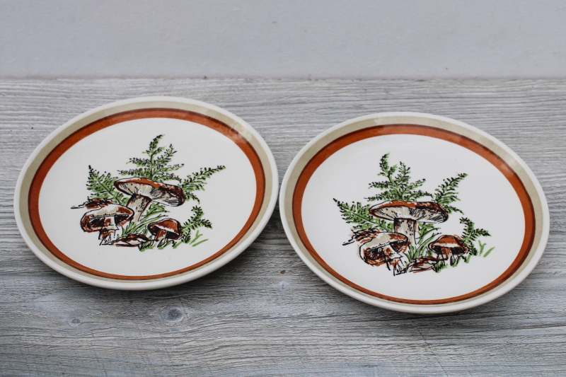 photo of Woodland Magic mushrooms & ferns pattern ceramic plates, 70s vintage USA Royal china #5