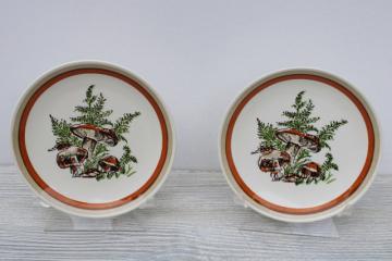 catalog photo of Woodland Magic mushrooms & ferns pattern ceramic plates, 70s vintage USA Royal china