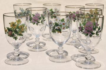 catalog photo of Worcester Herbs pattern glassware, water or wine glasses, Royal Worcester go-along goblets