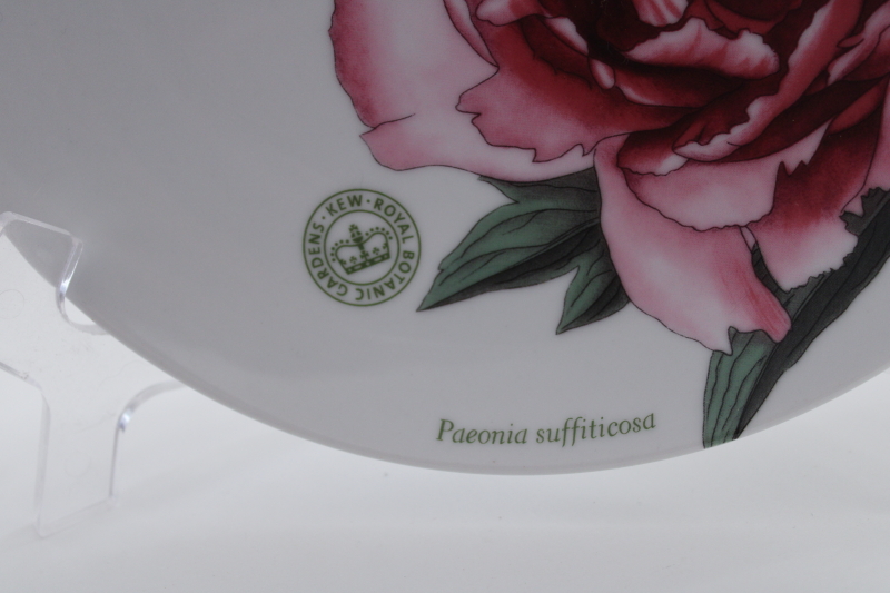 photo of World Market Kew Royal Botanic Gardens china salad plates Paeonia & Cattleya prints #2
