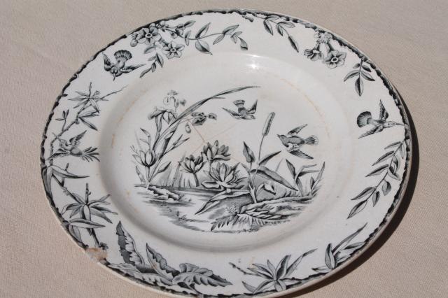 photo of aesthetic antique china plate, Indus birds & pond grasses, black transferware china #1