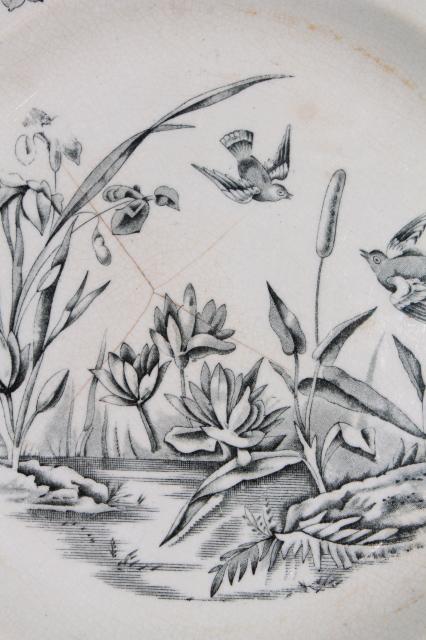 photo of aesthetic antique china plate, Indus birds & pond grasses, black transferware china #3