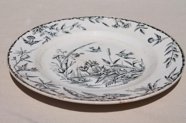 photo of aesthetic antique china plate, Indus birds & pond grasses, black transferware china #5