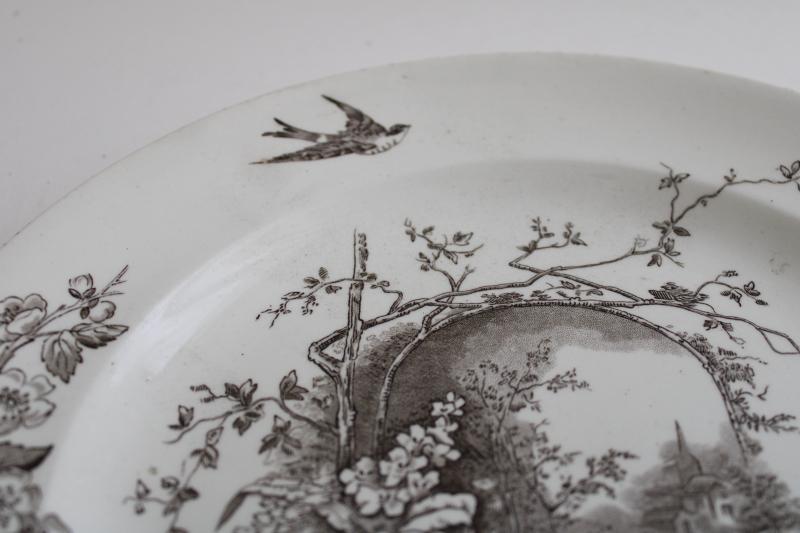 photo of aesthetic design antique brown transferware china plate, Hill's Rustic bee hive mark #2