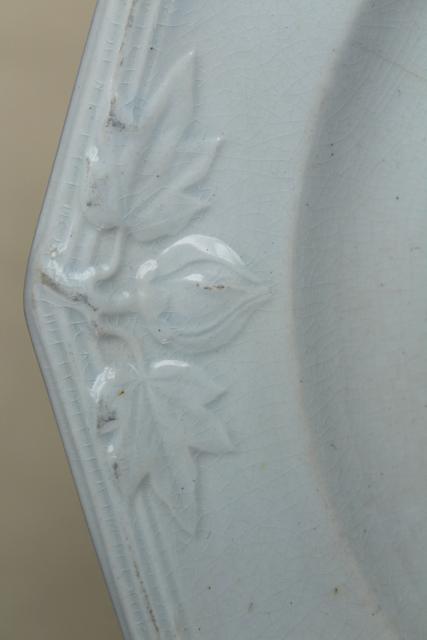 photo of antique 1800s Wedgwood ironstone china plate or soup bowl, heavy embossed border horse chestnut #5