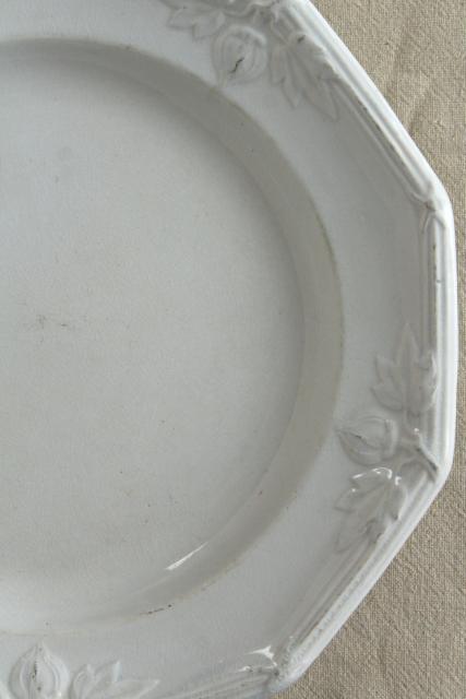 photo of antique 1800s Wedgwood ironstone china plate or soup bowl, heavy embossed border horse chestnut #6