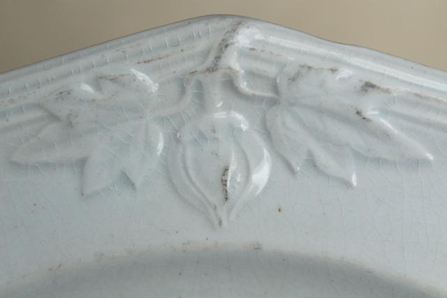photo of antique 1800s Wedgwood ironstone china plate or soup bowl, heavy embossed border horse chestnut #7