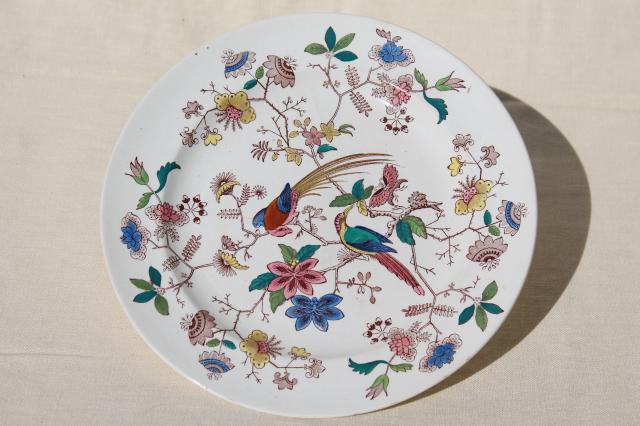 photo of antique 1800s vintage Davenport china plate, Orient pattern India tree of life w/ parrots #1