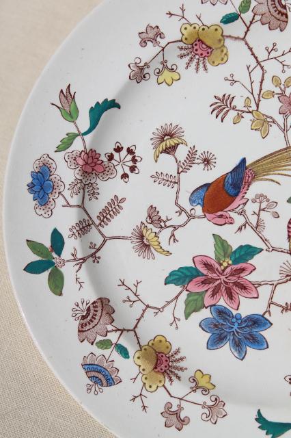 photo of antique 1800s vintage Davenport china plate, Orient pattern India tree of life w/ parrots #3