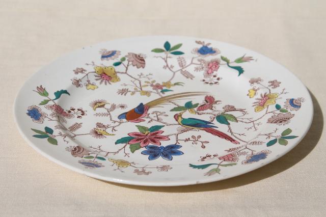 photo of antique 1800s vintage Davenport china plate, Orient pattern India tree of life w/ parrots #4