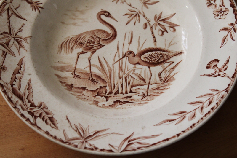 photo of antique 1800s vintage brown transferware china bowls, Indus pattern storks bird print w/ natural foliage #5