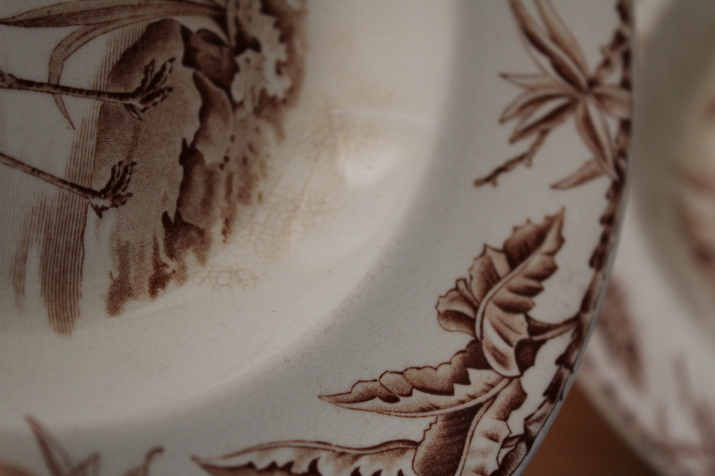 photo of antique 1800s vintage brown transferware china bowls, Indus pattern storks bird print w/ natural foliage #6