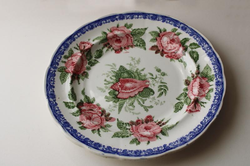 photo of antique 1830s English transferware china plate, moss rose & seashell pattern blue pink green #2