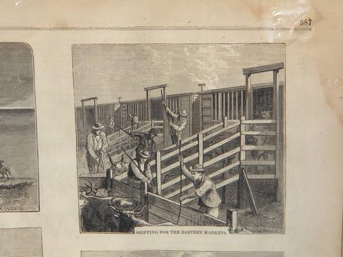 photo of antique 1870s engravings of Texas cattle drive, westerns cowboys etc #2