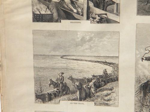 photo of antique 1870s engravings of Texas cattle drive, westerns cowboys etc #3