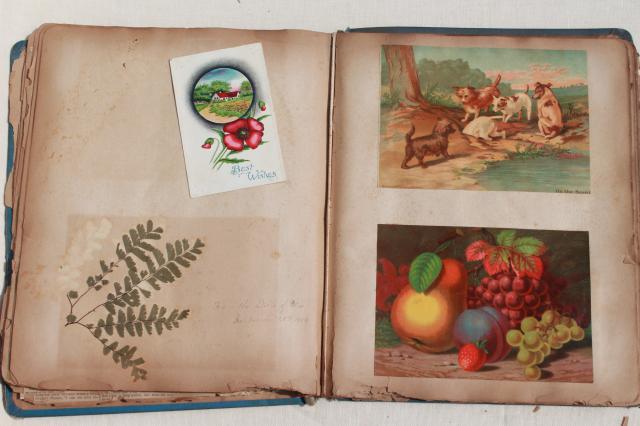 photo of antique 1880s - 1930s scrapbook albums, one lady's collections of snips, cards, keepsakes #13