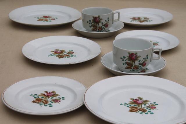 photo of antique 1890s Meakin moss rose ironstone china - plates, cups & deep saucers #1