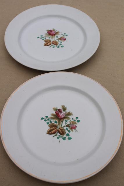 photo of antique 1890s Meakin moss rose ironstone china - plates, cups & deep saucers #8