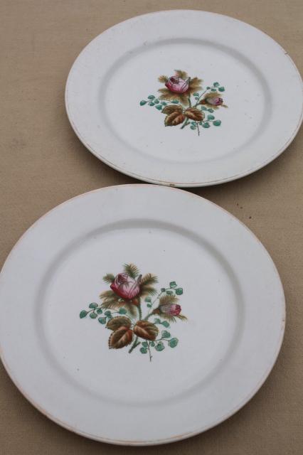 photo of antique 1890s Meakin moss rose ironstone china - plates, cups & deep saucers #9