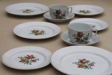 catalog photo of antique 1890s Meakin moss rose ironstone china - plates, cups & deep saucers