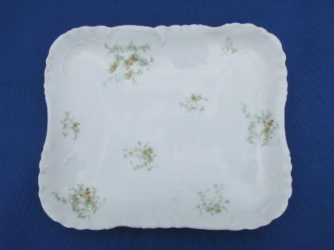 photo of antique 1890s hand-painted china tray, Haviland - Limoges France #1