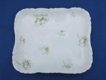 catalog photo of antique 1890s hand-painted china tray, Haviland - Limoges France