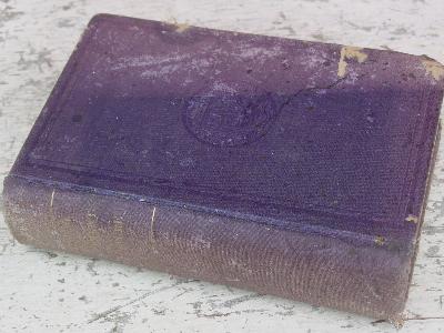 photo of antique 1902 Dept of Agriculture yearbook, vineyards, orchard trees etc. #1