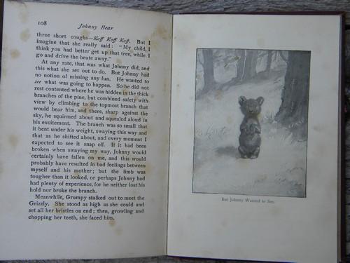 photo of antique 1902 Krag and Johnny Bear Ernest Thompson Seton animal stories #4