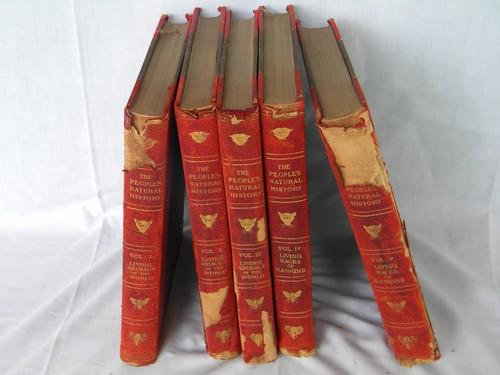 photo of antique 1903 natural history book set w/color litho plates and 2000 illustrations #1